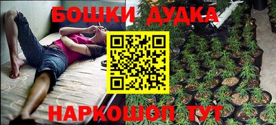 индика Кулебаки